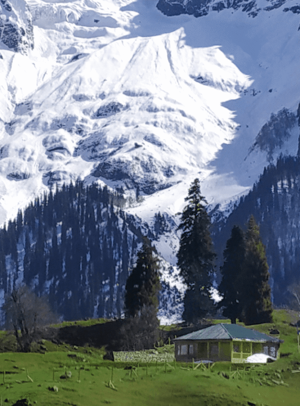 Chandanwari Snow Point Kashmir Doodhpathri Green Meadows